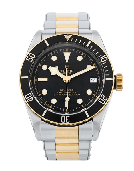 Tudor Black Bay M79733N-0008